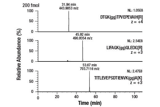 undefined Image 2: PTMScan<sup>®</sup> Control Peptides Ubiquitin/SUMO