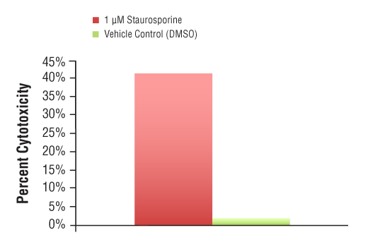 FUNC Image 2: LDH Cytotoxicity Assay Kit