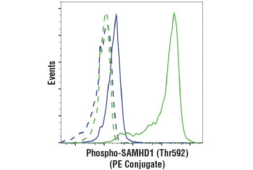 Flow Cytometry Image 2: Phospho-SAMHD1 (Thr592) (D7O2M) Rabbit Monoclonal Antibody (PE Conjugate)