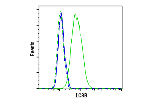 Flow Cytometry Image 1: LC3B (D11) Rabbit Monoclonal Antibody (BSA and Azide Free)