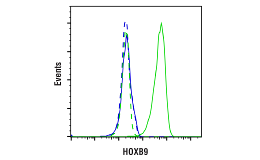 Flow Cytometry Image 1: HOXB9 (E7P5O) Rabbit Monoclonal Antibody