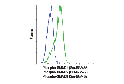 Flow Cytometry Image 1: Phospho-SMAD1 (Ser463/465)/ SMAD5 (Ser463/465)/ SMAD9 (Ser465/467) (D5B10) Rabbit Monoclonal Antibody (BSA and Azide Free)