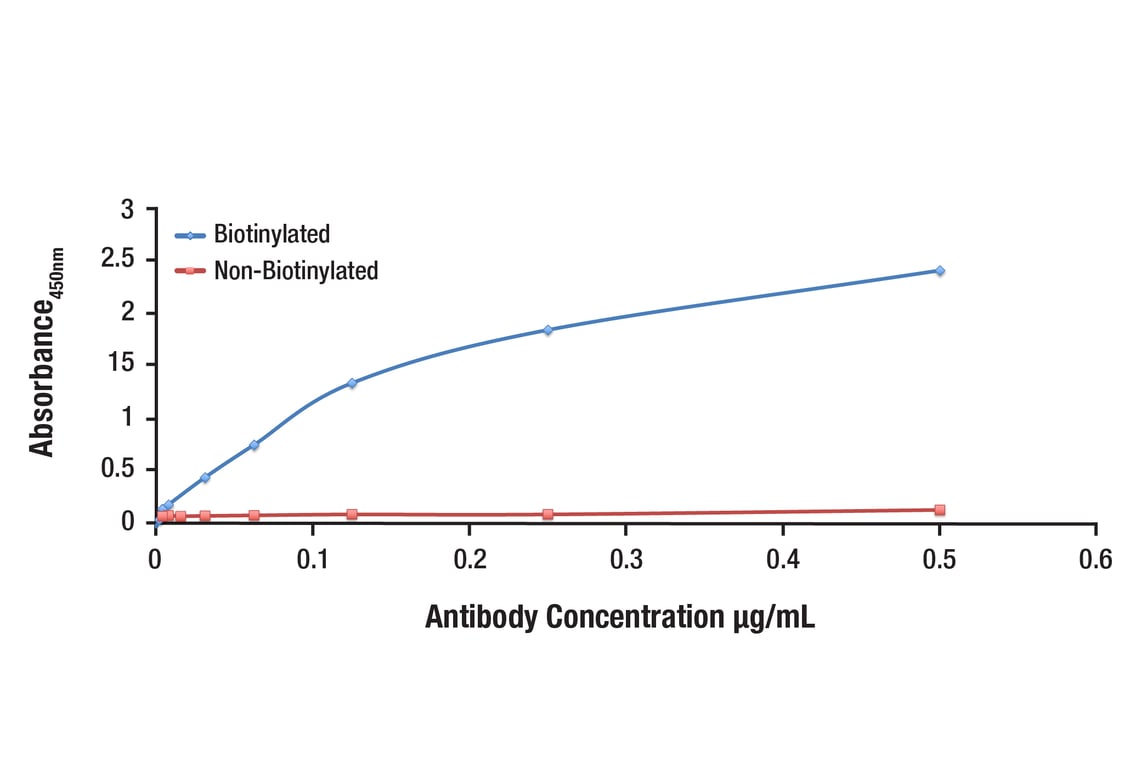 E Image 1: Syk (D3Z1E) Rabbit Monoclonal Antibody (Biotinylated)