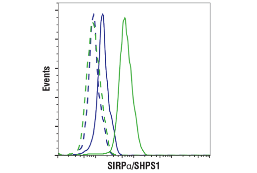 Flow Cytometry Image 1: SIRP alpha/SHPS1 (D6I3M) Rabbit Monoclonal Antibody (BSA and Azide Free)