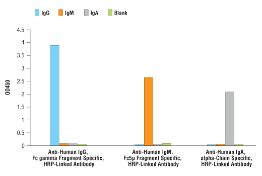 Specificity data using human IgG, IgM, and IgA at a concentration of 0.005 μg/ml. Results show no reactivity between Anti-Human IgA, alpha-Chain Specific, HRP-Linked Antibody and human IgG or IgM when used at a concentration of 1 μg/ml.