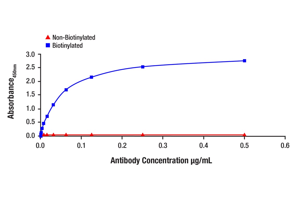 ELISA and/or ELISA-like Assays Image 1: Phospho-Histone H2A.X (Ser139) (20E3) Rabbit Monoclonal Antibody (Biotinylated)