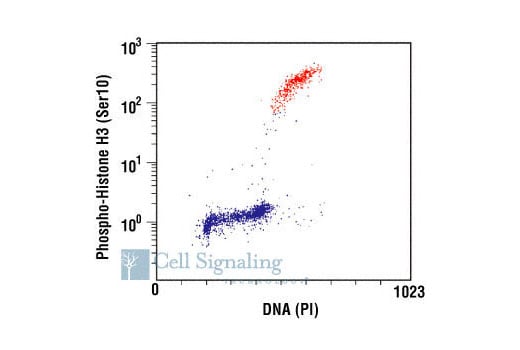 Flow Cytometry Image 1: Phospho-Histone H3 (Ser10) (6G3) Mouse Monoclonal Antibody