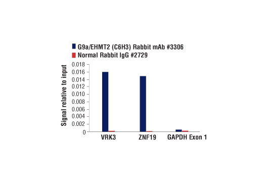 Chromatin Immunoprecipitation Image 1: G9a/EHMT2 (C6H3) Rabbit Monoclonal Antibody