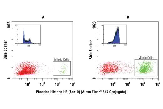 Flow Cytometry Image 1: Phospho-Histone H3 (Ser10) (D2C8) Rabbit Monoclonal Antibody (Alexa Fluor<sup>®</sup> 647 Conjugate)