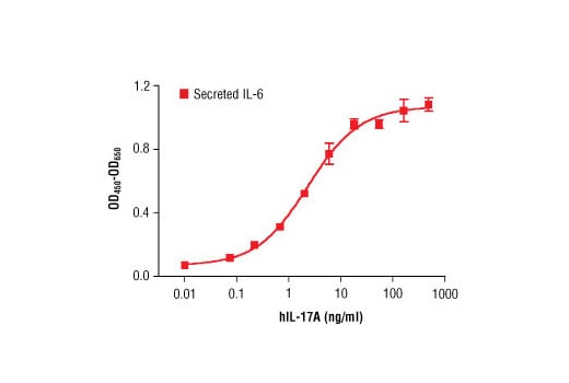 undefined Image 2: Human Interleukin-17A (hIL-17A)