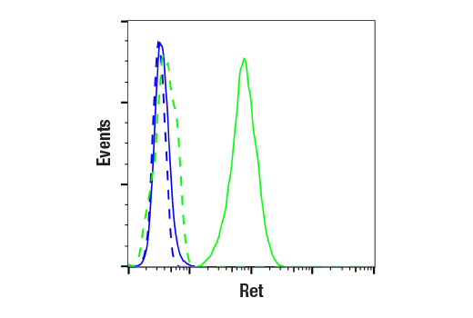 undefined Image 50: Lung Cancer RTK Antibody Sampler Kit