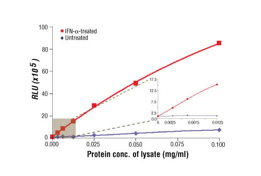 ELISA Image 1: PathScan<sup>®</sup> Phospho-Stat3 (Tyr705) Chemiluminescent Sandwich ELISA Kit