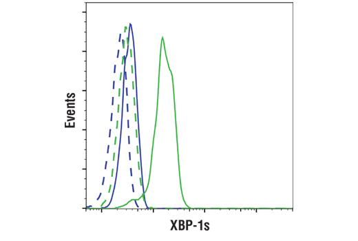 Flow Cytometry Image 1: XBP-1s (E7M5C) Mouse Monoclonal Antibody