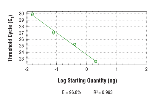 Chromatin Immunoprecipitation Image 2: SimpleChIP<sup>®</sup> Mouse Exo1 Exon 12 Primers