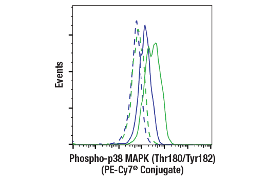 Flow Cytometry Image 1: Phospho-p38 MAPK (Thr180/Tyr182) (3D7) Rabbit mAb (PE-Cy7<sup>®</sup> Conjugate)