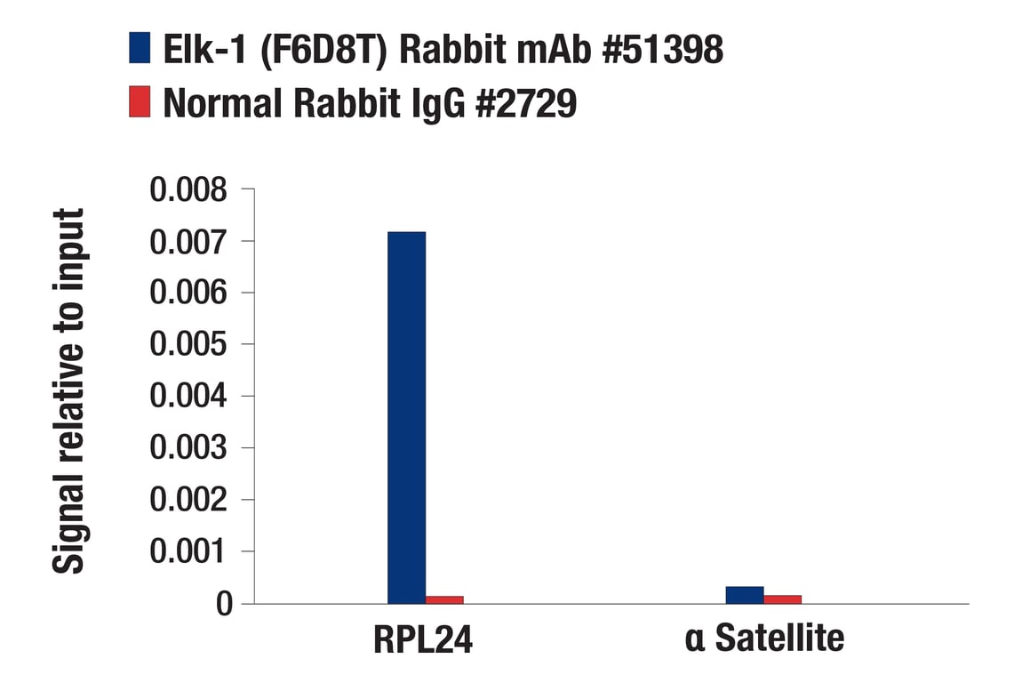 Chromatin Immunoprecipitation Image 1: Elk-1 (F6D8T) Rabbit Monoclonal Antibody