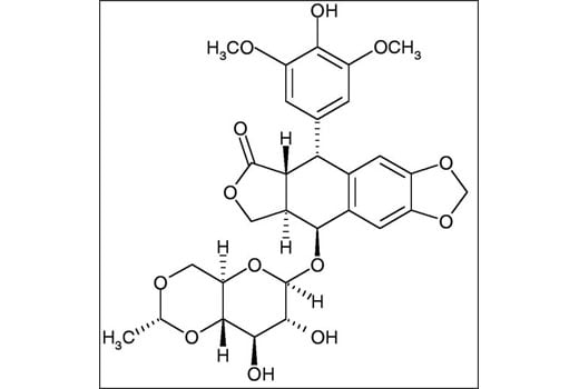undefined Image 2: Etoposide