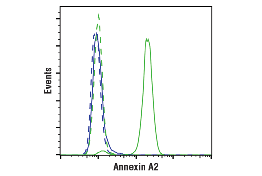Flow Cytometry Image 1: Annexin A2 (D11G2) Rabbit Monoclonal Antibody