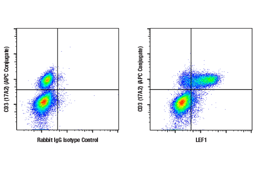 Flow Cytometry Image 1: LEF1 (C12A5) Rabbit Monoclonal Antibody (BSA and Azide Free)