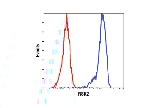 Flow Cytometry Image 1: RSK2 (D21B2) Rabbit Monoclonal Antibody