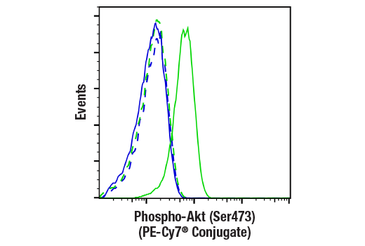Phospho-Akt (Ser473) (D9E) XP® Rabbit mAb (PE-Cy7® Conjugate