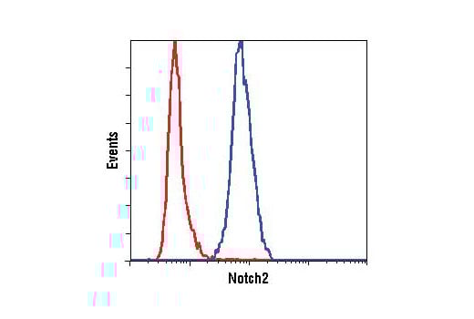 Flow Cytometry Image 1: Notch2 (D76A6) Rabbit Monoclonal Antibody