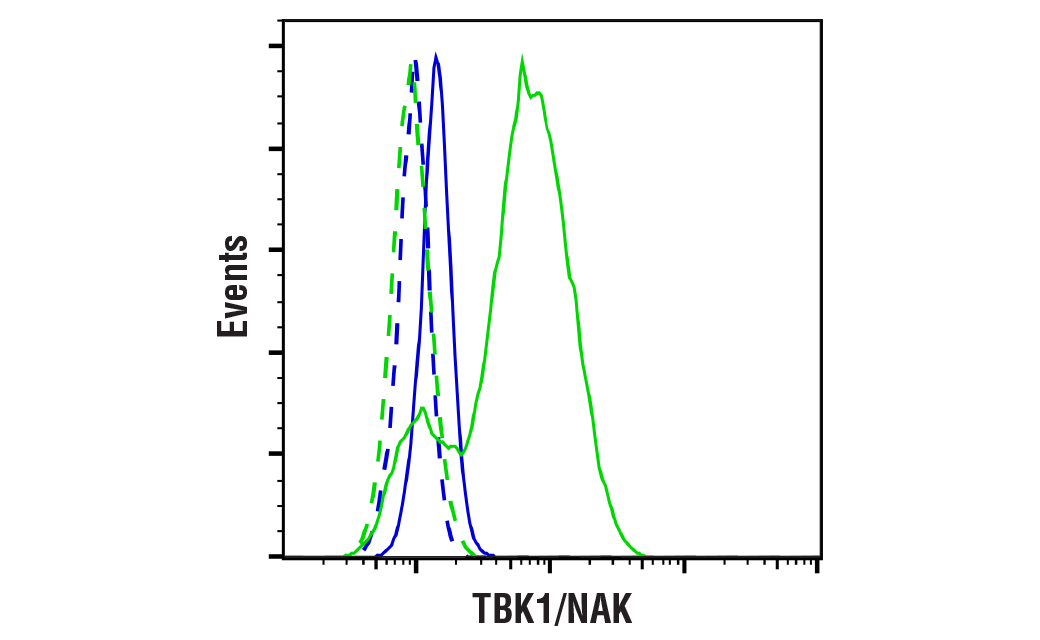 undefined Image 10: PhosphoPlus<sup>®</sup> TBK1/NAK (Ser172) Antibody Duet
