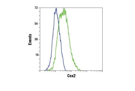 Flow Cytometry Image 1: Cox2 (D5H5) Rabbit Monoclonal Antibody (BSA and Azide Free)
