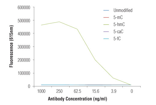 undefined Image 1: 5-Hydroxymethylcytosine (5-hmC) (HMC31) Mouse Monoclonal Antibody