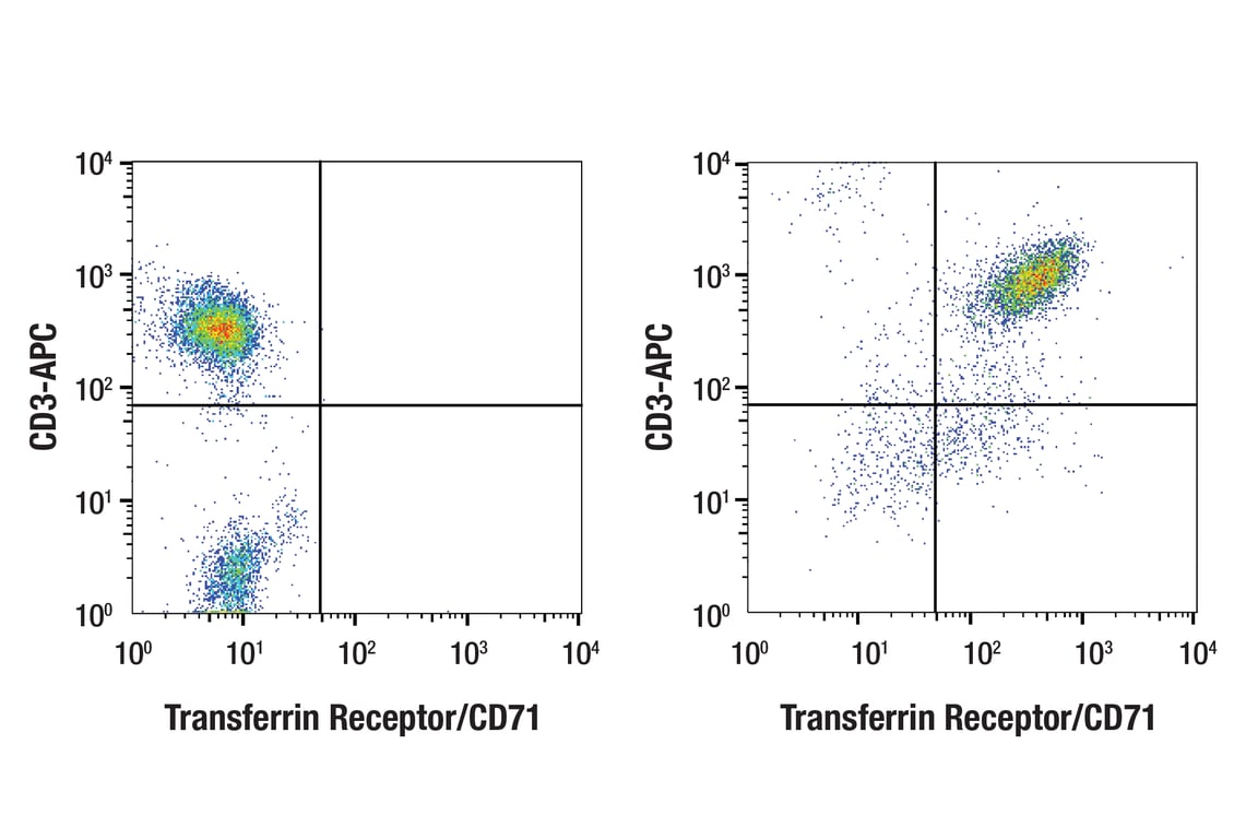 Flow Cytometry Image 1: Transferrin Receptor/CD71 (D7G9X) Rabbit Monoclonal Antibody