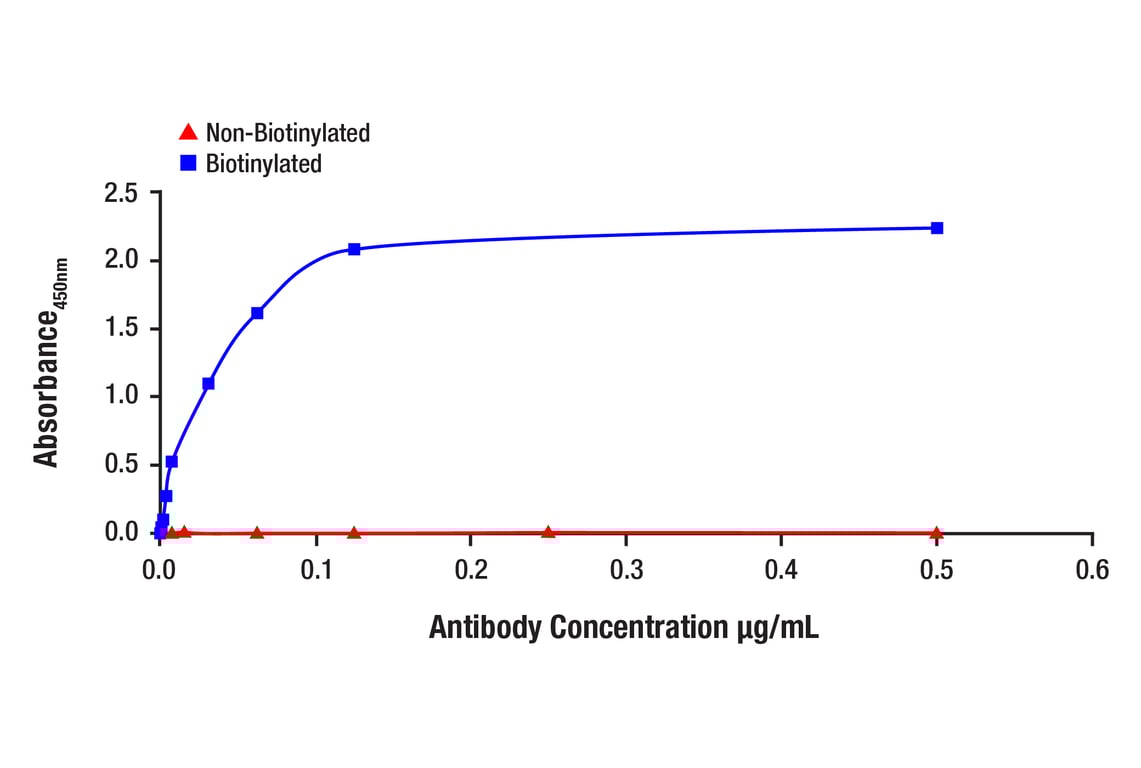 ELISA and/or ELISA-like Assays Image 1: CREB (48H2) Rabbit Monoclonal Antibody (Biotinylated)