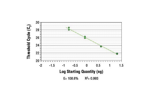 Chromatin Immunoprecipitation Image 1: SimpleChIP<sup>®</sup> Human DMD Intron 2 Primers