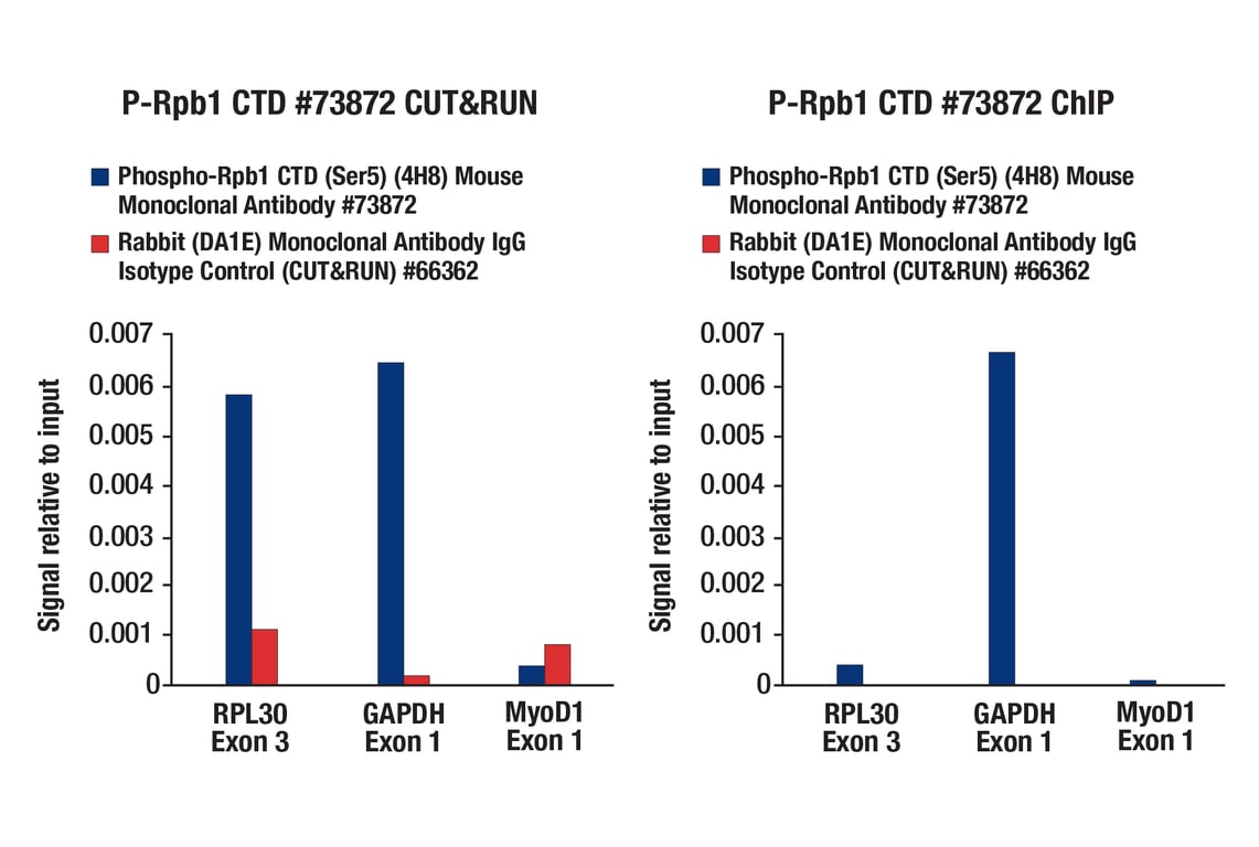 CUT&RUN Protein-DNA Interaction Assay Kit | Cell Signaling Technology