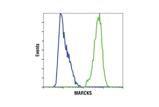 Flow Cytometry Image 1: MARCKS (D88D11) Rabbit Monoclonal Antibody (BSA and Azide Free)