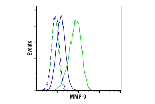 undefined Image 32: ECM Profiling Antibody Sampler Kit