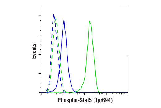 undefined Image 11: Phospho-Stat Antibody Sampler Kit