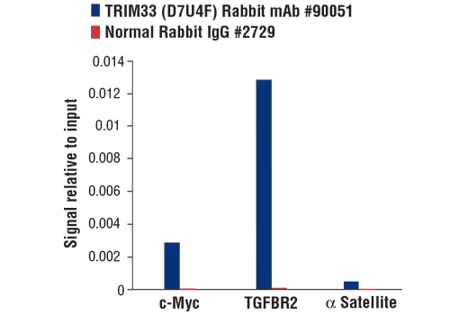 Chromatin Immunoprecipitation Image 1: TRIM33 (D7U4F) Rabbit Monoclonal Antibody