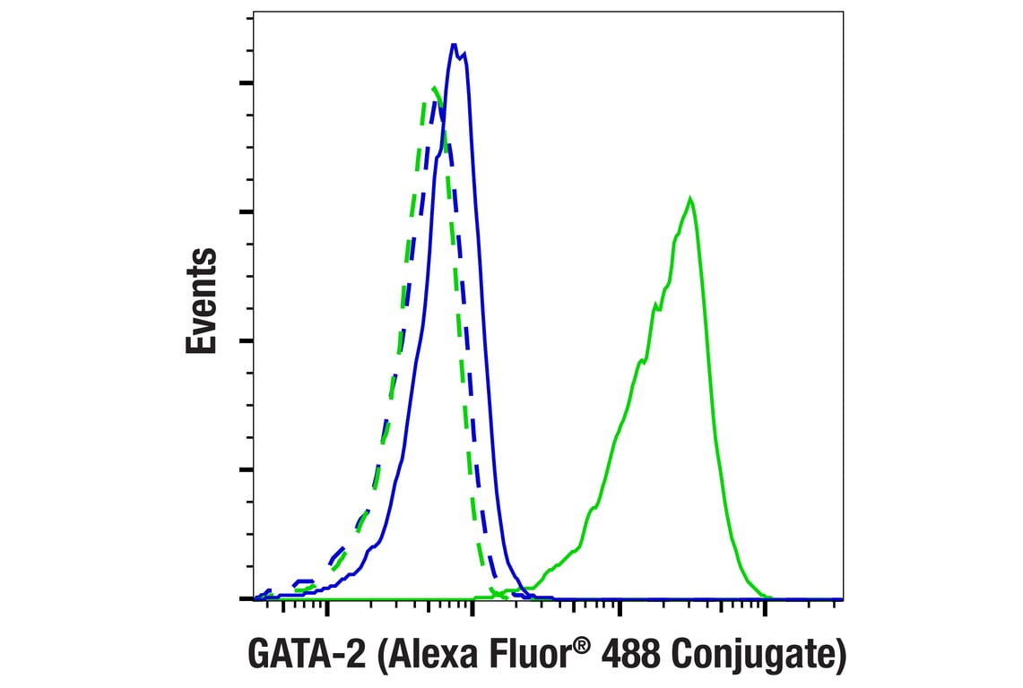 Flow Cytometry Image 1: GATA-2 (E9T6F) Rabbit Monoclonal Antibody (Alexa Fluor<sup>®</sup> 488 Conjugate)