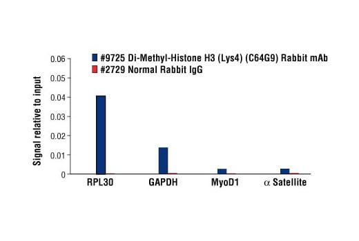 Chromatin Immunoprecipitation Image 3: Di-Methyl-Histone H3 (Lys4) (C64G9) Rabbit Monoclonal Antibody