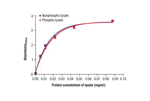 ELISA Image 2: PathScan<sup>®</sup> Total DDR1 Sandwich ELISA Kit