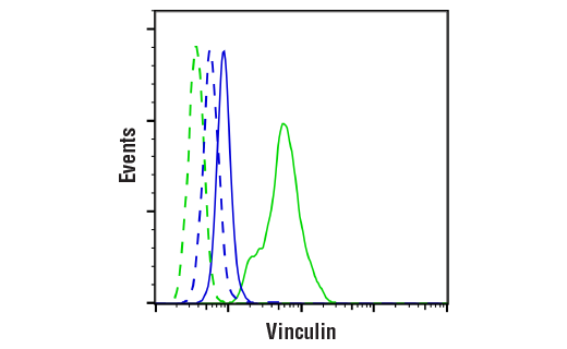 Flow Cytometry Image 1: Vinculin (E1E9V) Rabbit Monoclonal Antibody (BSA and Azide Free)