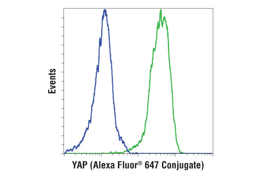 Flow Cytometry Image 1: YAP (D8H1X) Rabbit Monoclonal Antibody (Alexa Fluor<sup>®</sup> 647 Conjugate)
