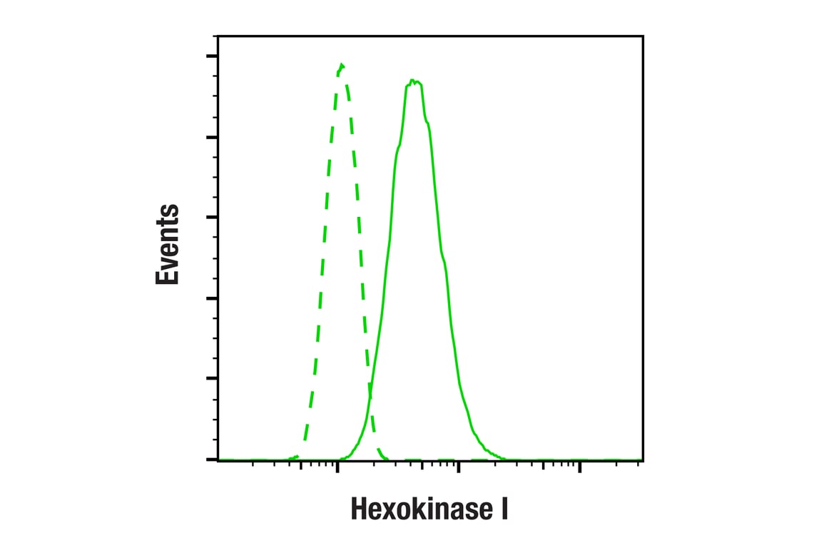 Flow Cytometry Image 2: Hexokinase I (C35C4) Rabbit Monoclonal Antibody (BSA and Azide Free)