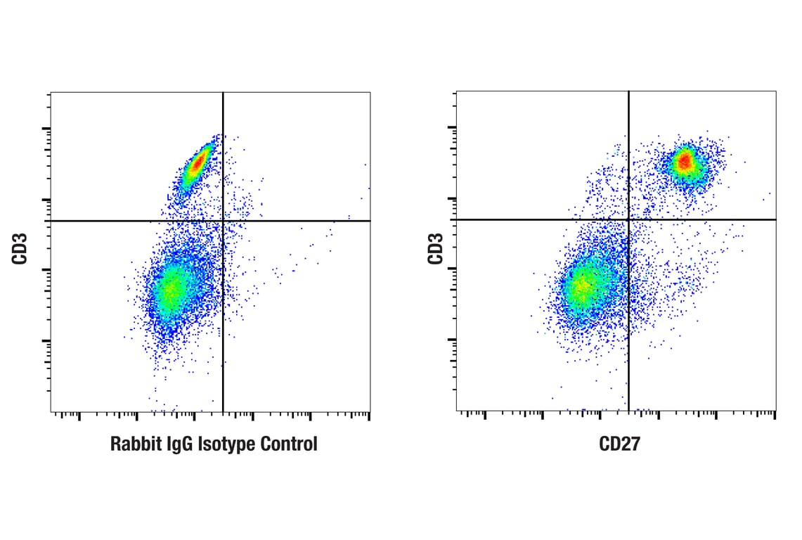 Flow Cytometry Image 1: CD27 (F3R2V) Rabbit Monoclonal Antibody