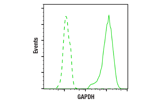 Flow Cytometry Image 1: GAPDH (14C10) Rabbit Monoclonal Antibody