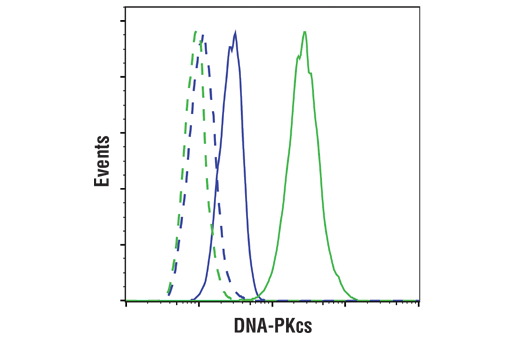 undefined Image 16: PhosphoPlus<sup>®</sup> DNA-PKcs (Ser2056) Antibody Duet