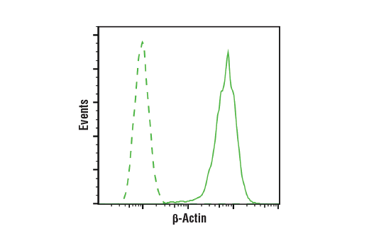 Flow Cytometry Image 1: beta-Actin (13E5) Rabbit Monoclonal Antibody
