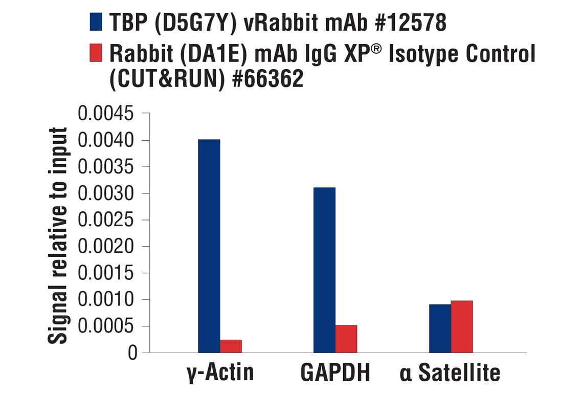 CUT & RUN Image 3: TBP (D5G7Y) Rabbit Monoclonal Antibody