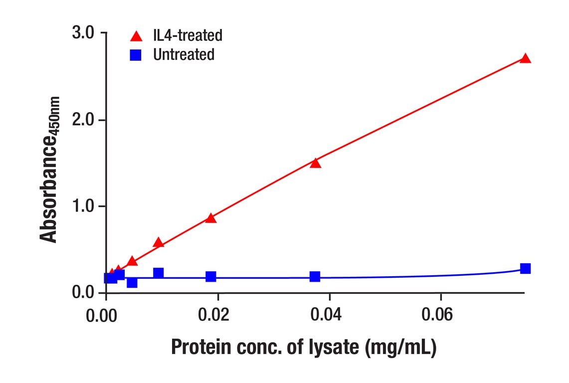 ELISA and/or ELISA-like Assays Image 6: Stat6 (D3H4) Rabbit Monoclonal Antibody (BSA and Azide Free)
