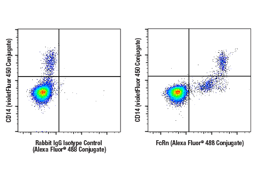 Flow Cytometry Image 1: FcRn (E6D1S) Rabbit mAb (Alexa Fluor<sup>®</sup> 488 Conjugate)